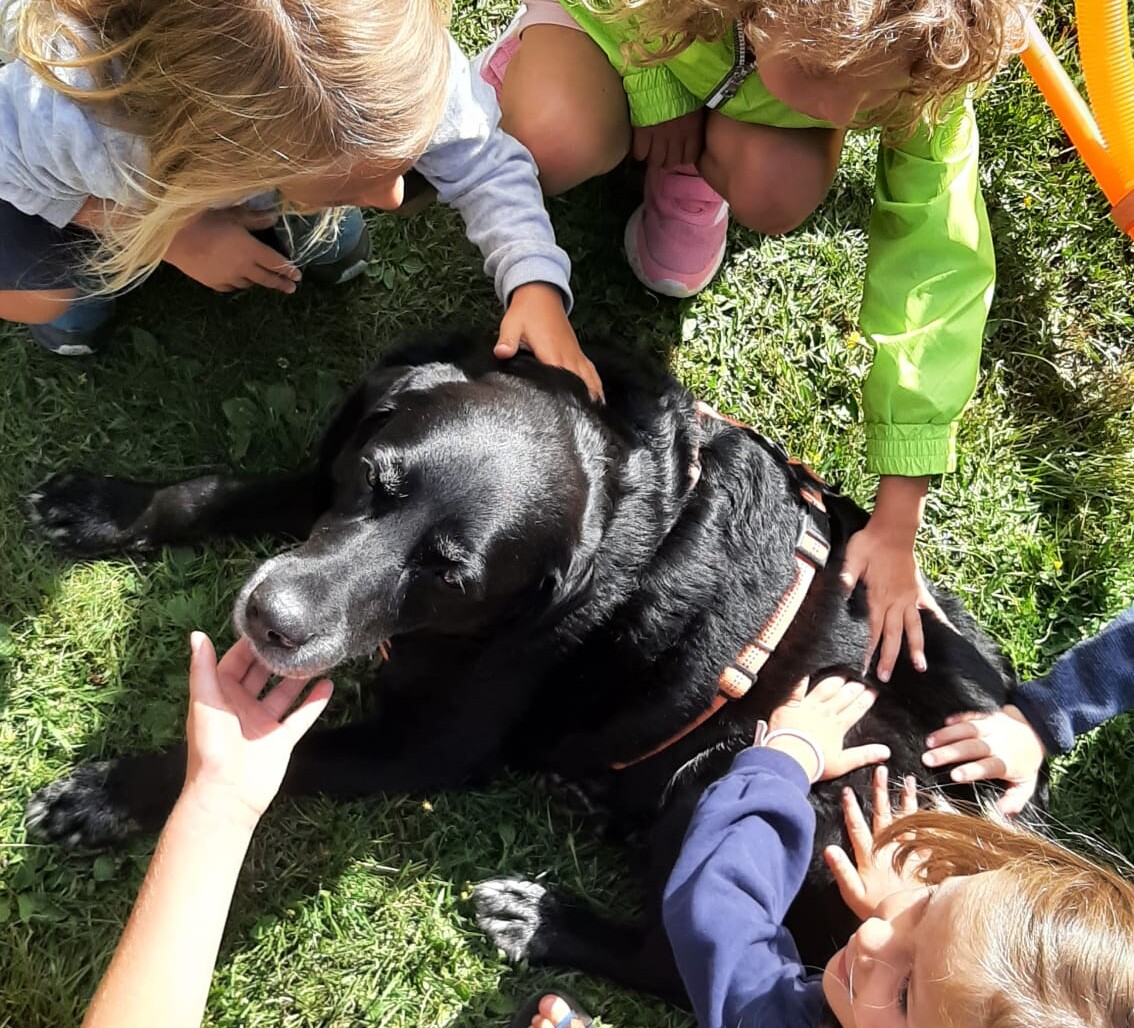 Laboratorio per Bimbi &ldquo;Il mio amico ha 4 zampe e 1 coda&rdquo; S.Caterina Valfurva (SO)
