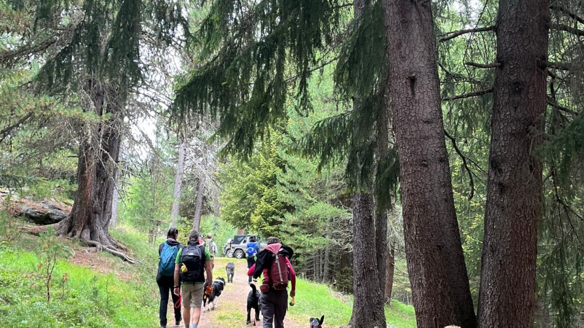 19 AGOSTO Dog Trekking Val Zebrù e attività cinofile, gita in giornata
