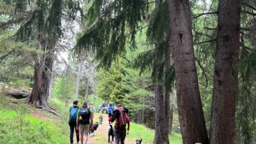 19 AGOSTO Dog Trekking Val Zebrù e attività cinofile, gita in giornata