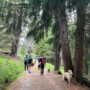 19 AGOSTO Dog Trekking Val Zebrù e attività cinofile, gita in giornata
