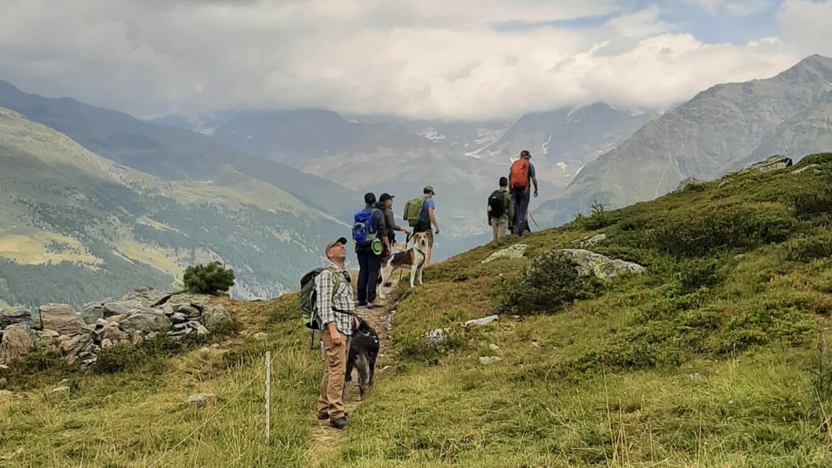 5 AGOSTO Dog Trekking Valle dell’Alpe, gita in giornata