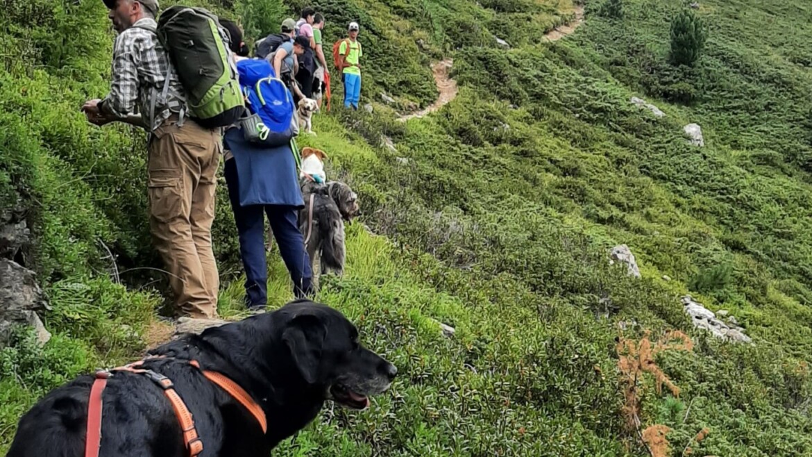 26 AGOSTO Dog Trekking Alpe Solaz, gita in giornata