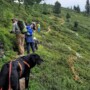 26 AGOSTO Dog Trekking Alpe Solaz, gita in giornata