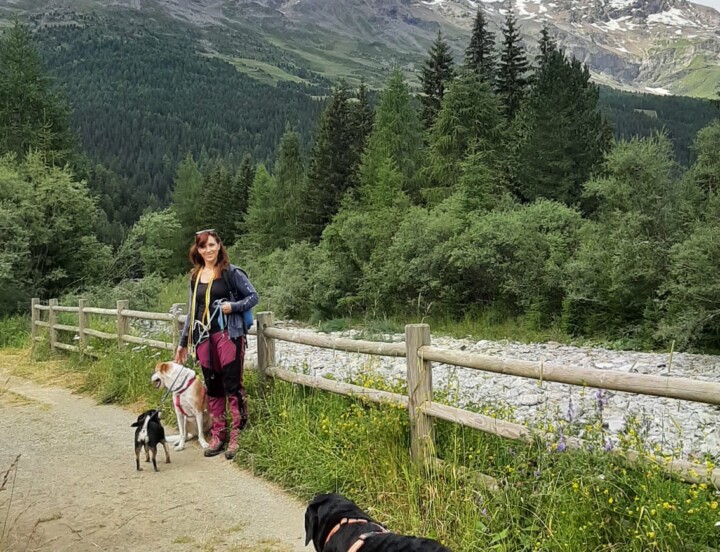 Passeggiata in pineta con aperitivo