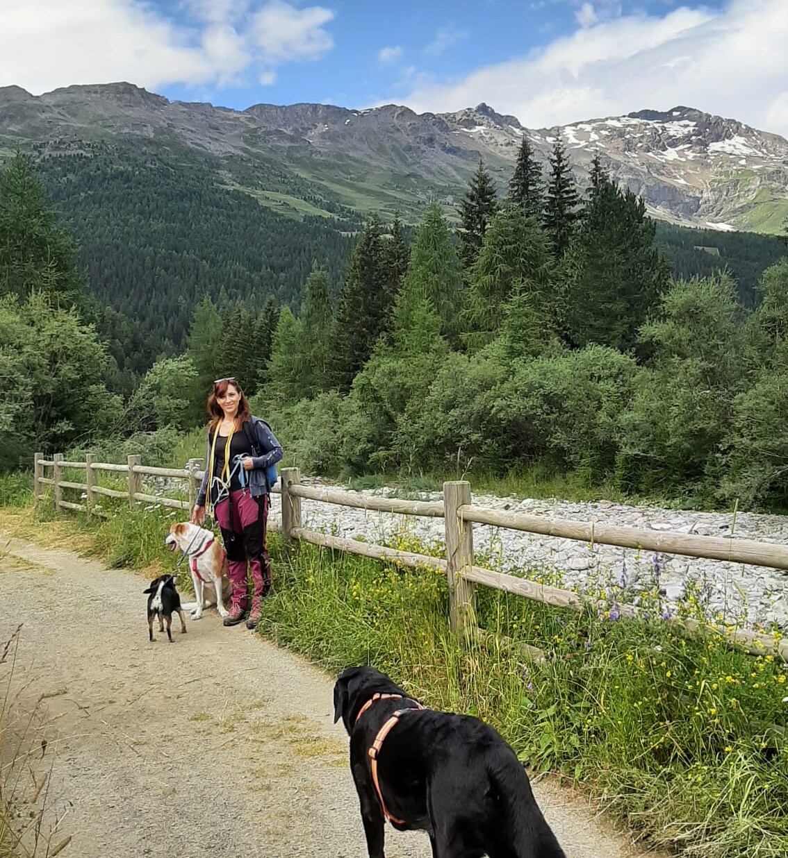 Passeggiata in pineta con aperitivo