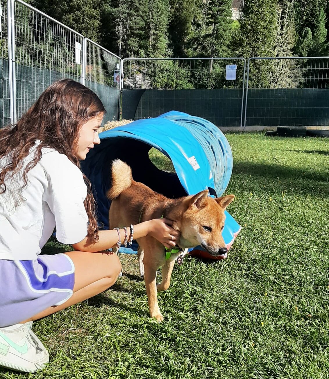 Percorso Mobility Fun Dog Summer Camp