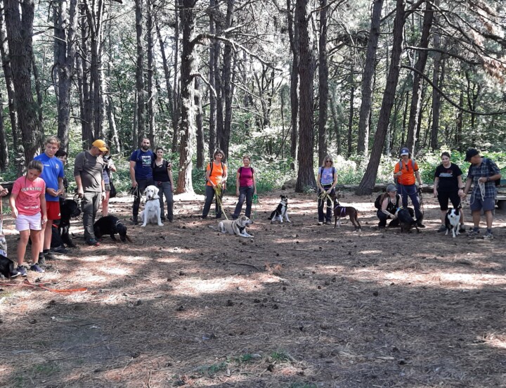 Esperienze WOW di gruppo in natura