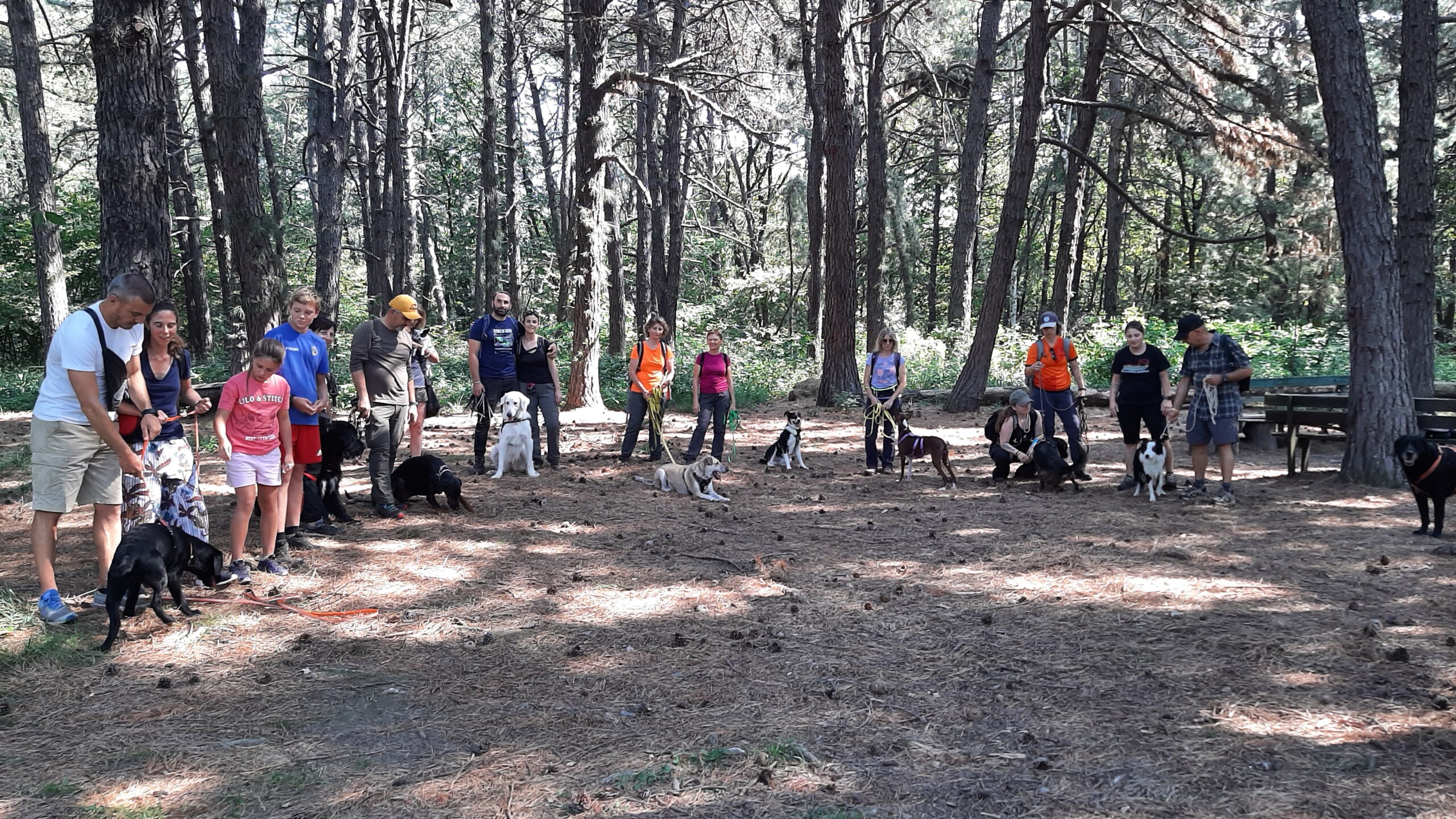 Esperienze WOW di gruppo in natura