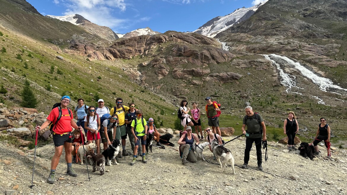 29 LUGLIO Dog Trekking Valle dei Forni Rifugio Branca