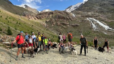 29 LUGLIO Dog Trekking Valle dei Forni Rifugio Branca