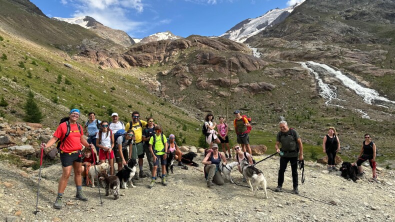 29 LUGLIO Dog Trekking Valle dei Forni Rifugio Branca
