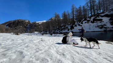 Sulla Neve con il Cane: 3 Cose da Fare Prima di Partire