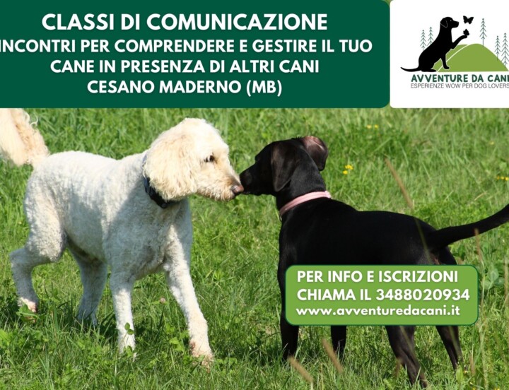 Classi di Comunicazione Cesano Maderno (MB)