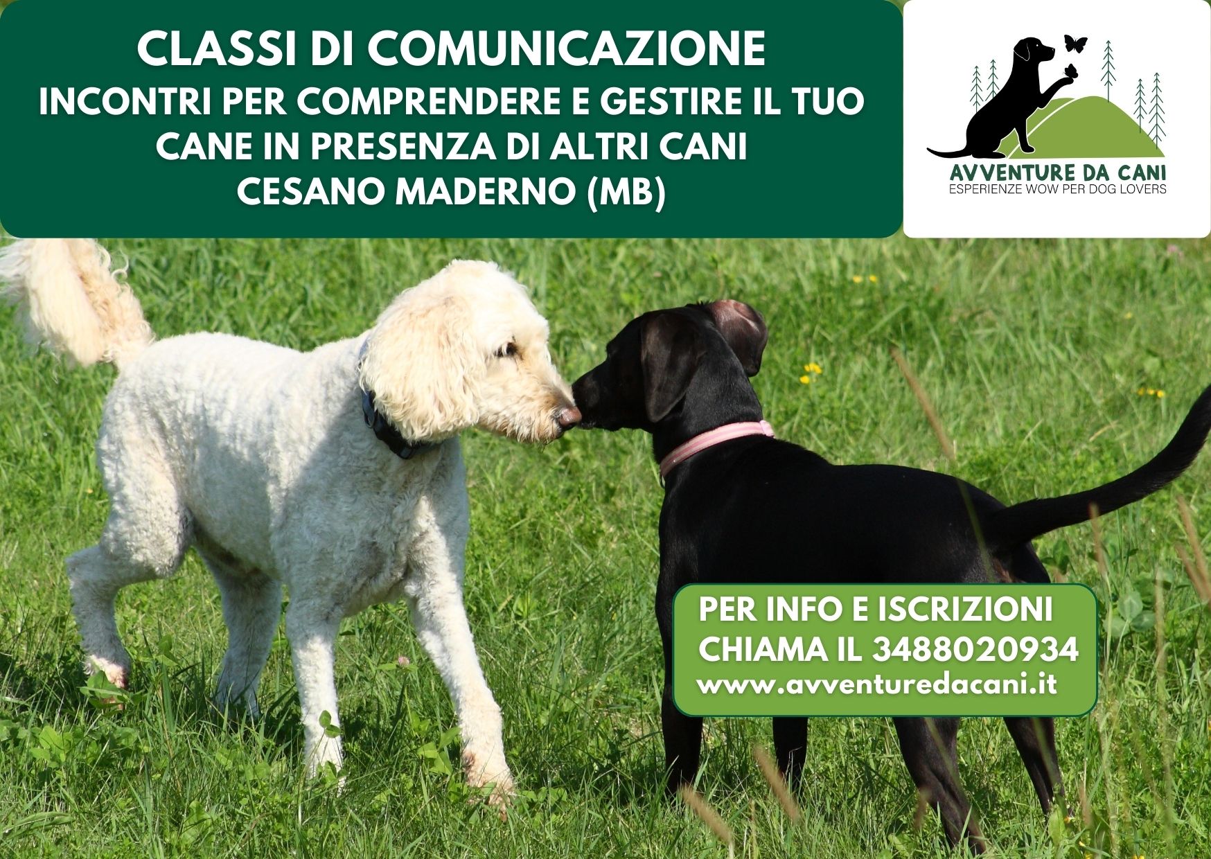 Classi di Comunicazione Cesano Maderno (MB)