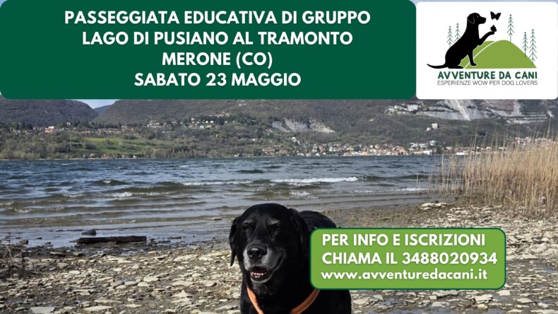 Passeggiata educativa di gruppo LAGO DI PUSIANO AL TRAMONTO Merone (CO) 23 maggio