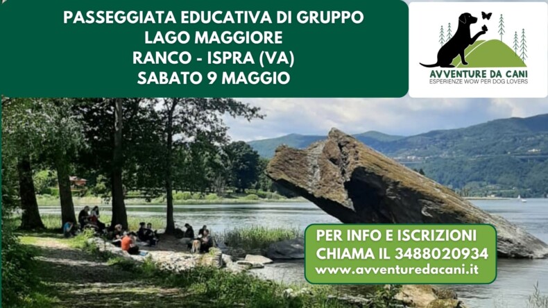 Passeggiata educativa di gruppo LAGO MAGGIORE Ranco (VA) 9 maggio