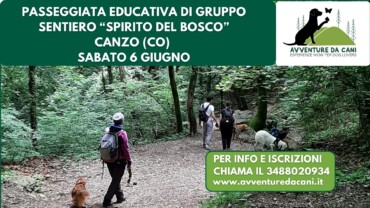 Dog Trekking educativo di gruppo SENTIERO SPIRITO DEL BOSCO Canzo (CO) 6 giugno