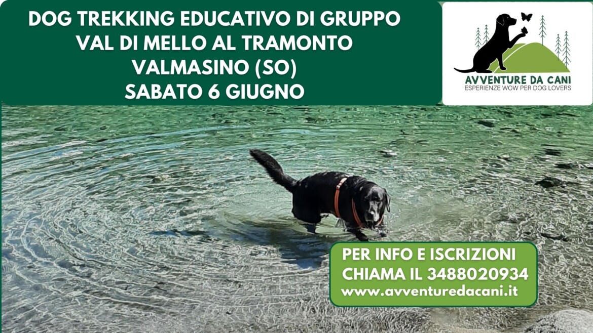 Dog Trekking educativo di gruppo VAL DI MELLO AL TRAMONTO Valmasino (SO) 20 giugno