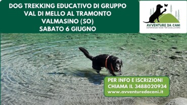 Dog Trekking educativo di gruppo VAL DI MELLO AL TRAMONTO Valmasino (SO) 20 giugno