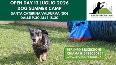 13 LUGLIO OPEN DAY DOG SUMMER CAMP S.CATERINA VALFURVA